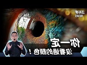 2023 狗 顏色